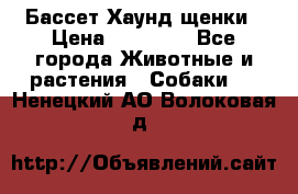 Бассет Хаунд щенки › Цена ­ 20 000 - Все города Животные и растения » Собаки   . Ненецкий АО,Волоковая д.